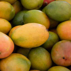 আম